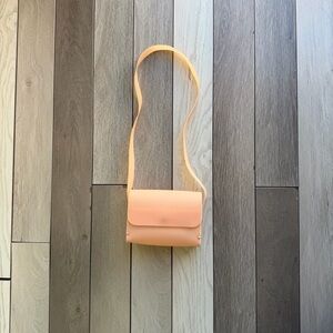 Zara Pink Peach Fruit Jelly Satchel Purse Handbag W/ Straps Wooden Sides